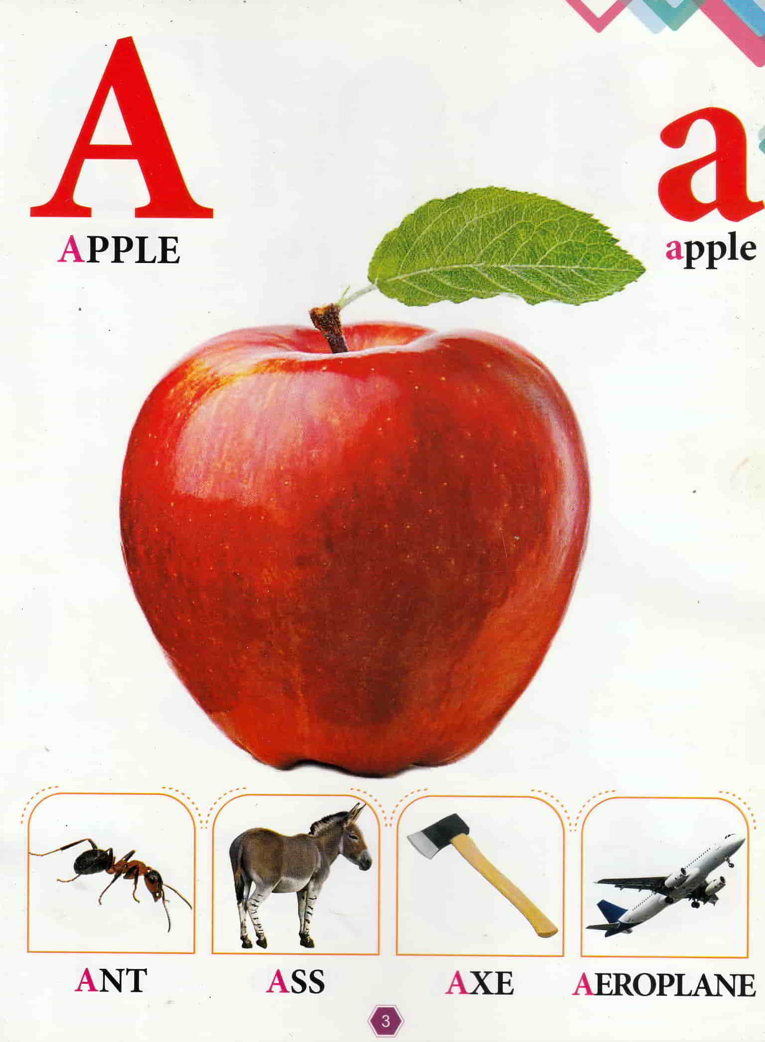 My Alphabet Book – For Nursery Students - Image 2