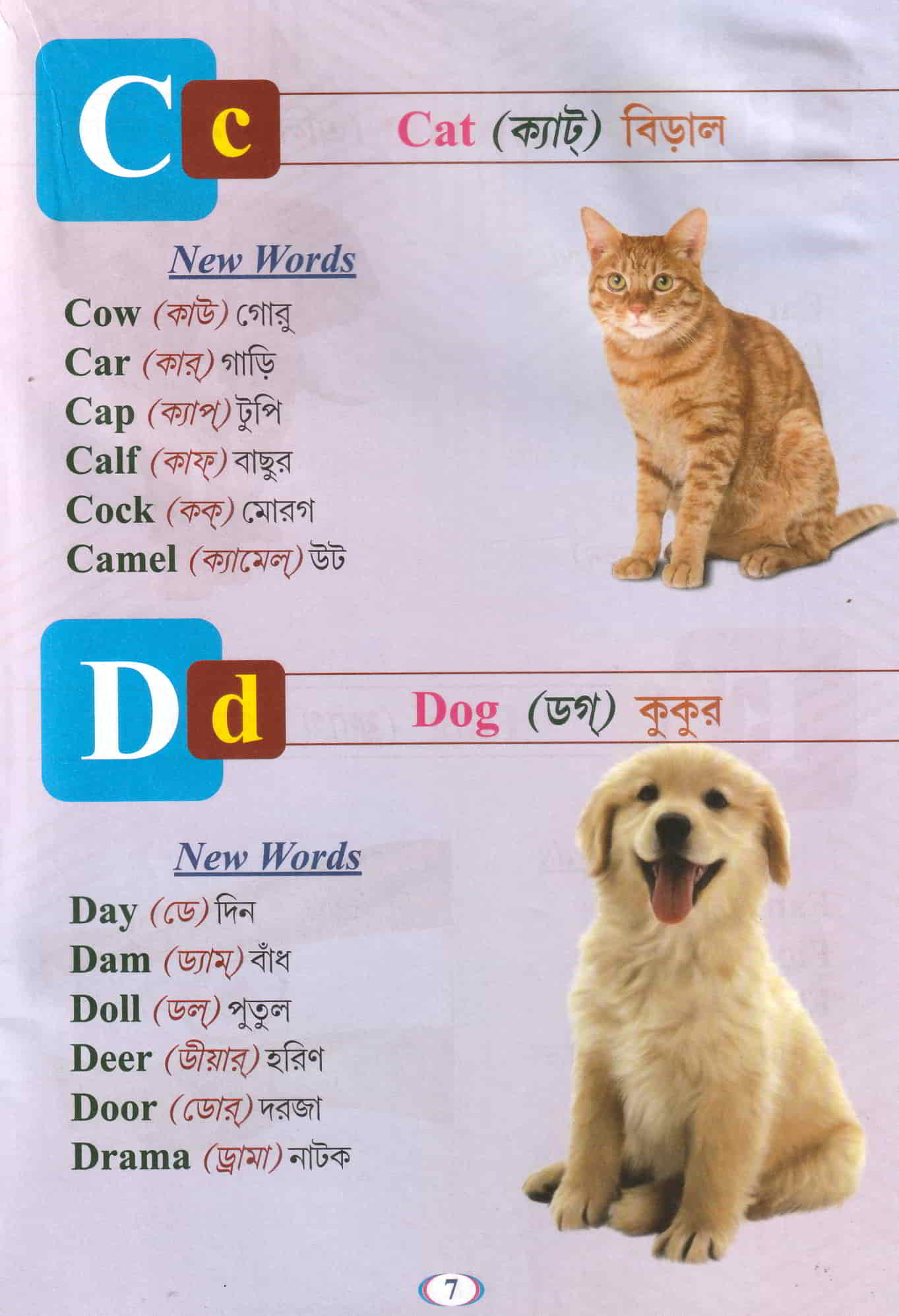 English Reader (Anglo-Bengali Version) – For Nursery Students - Image 3